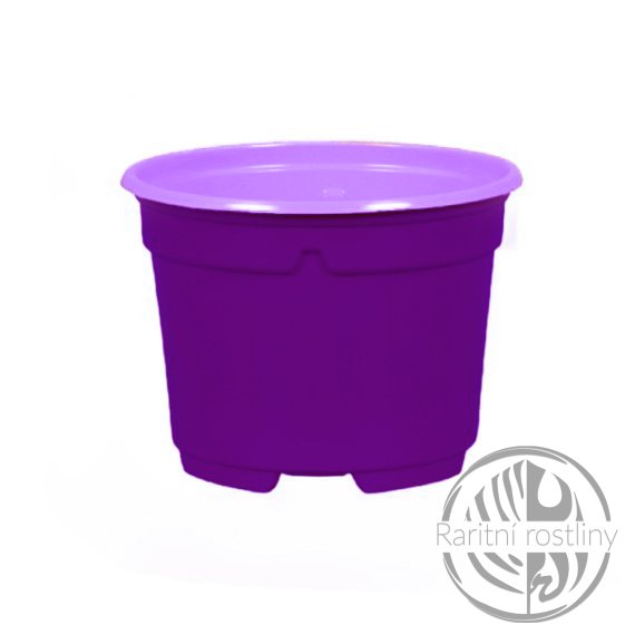 Květník sadbový d11cm - fialový