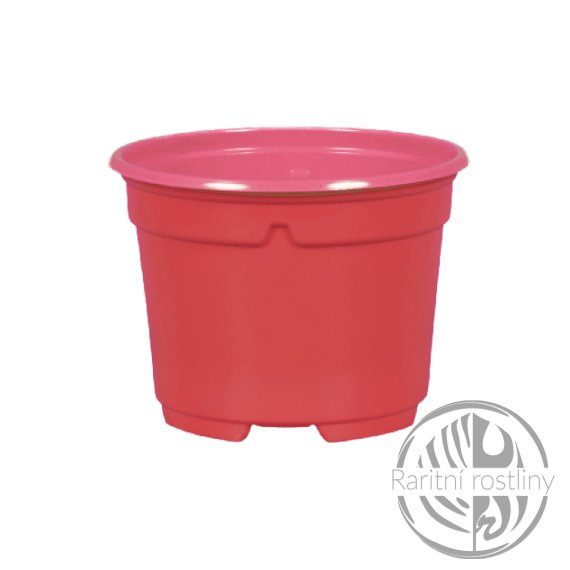 Květník sadbový d11cm - červený