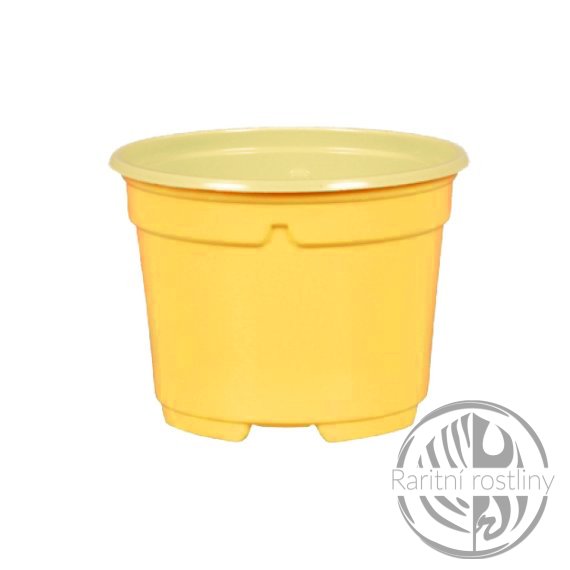 Květník sadbový d11cm - žlutý