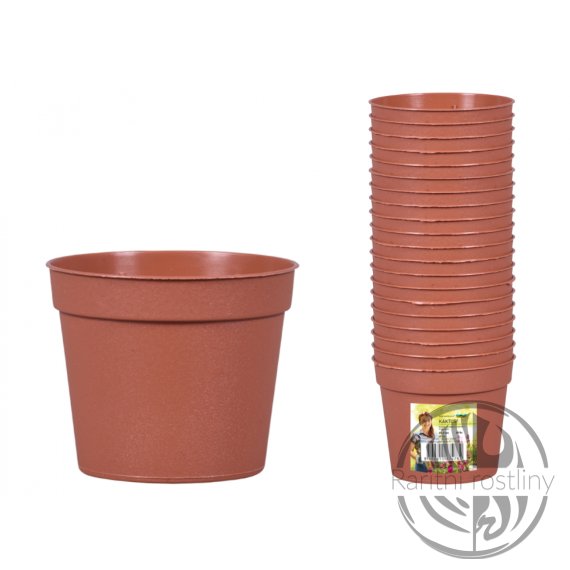  Květník sadbový KAKTUS d6,5cm 