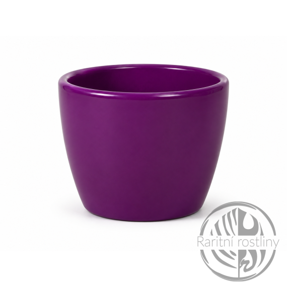 Obal na květináč keramický KAKTUS PRIMUS  d8x6cm fialový