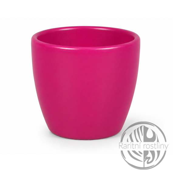 Obal na květináč keramický KAKTUS PRIMUS  d8x7cm růžový