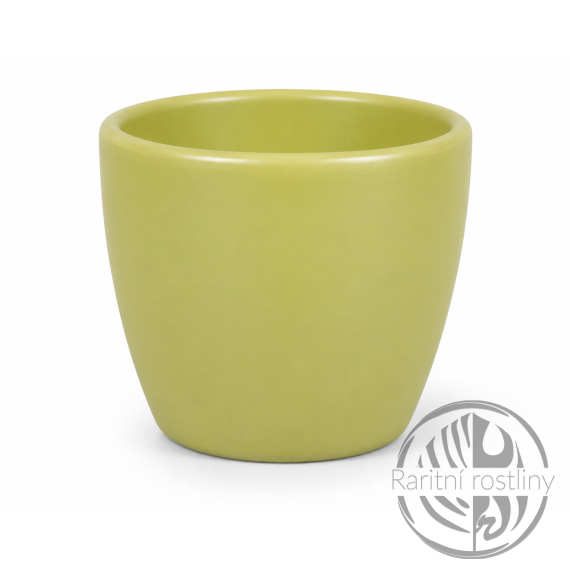 Obal na květináč keramický KAKTUS PRIMUS  d8x7cm