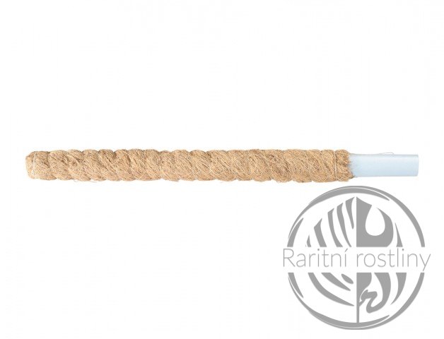 Opěra na rostliny MECHKOK přírodní 60 cm