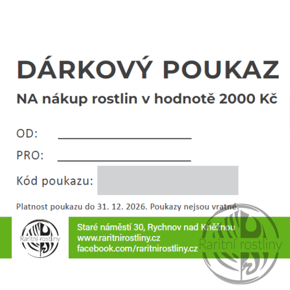 Dárkový poukaz v hodnodě 2000 Kč